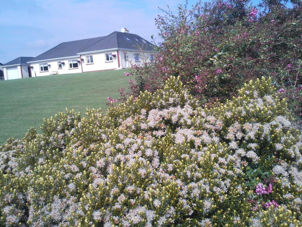 Tullaleagan Guesthouse Oughterard Bagian luar foto